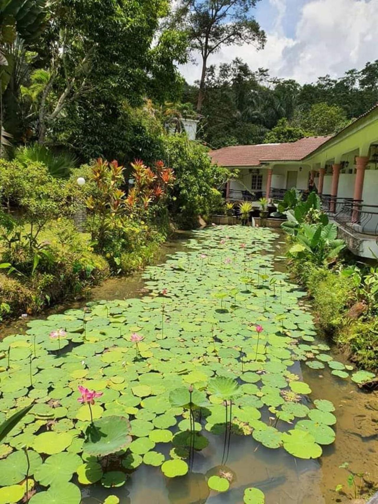 Seri Pengantin Resort Kampung Janda Baik Eksteriør billede